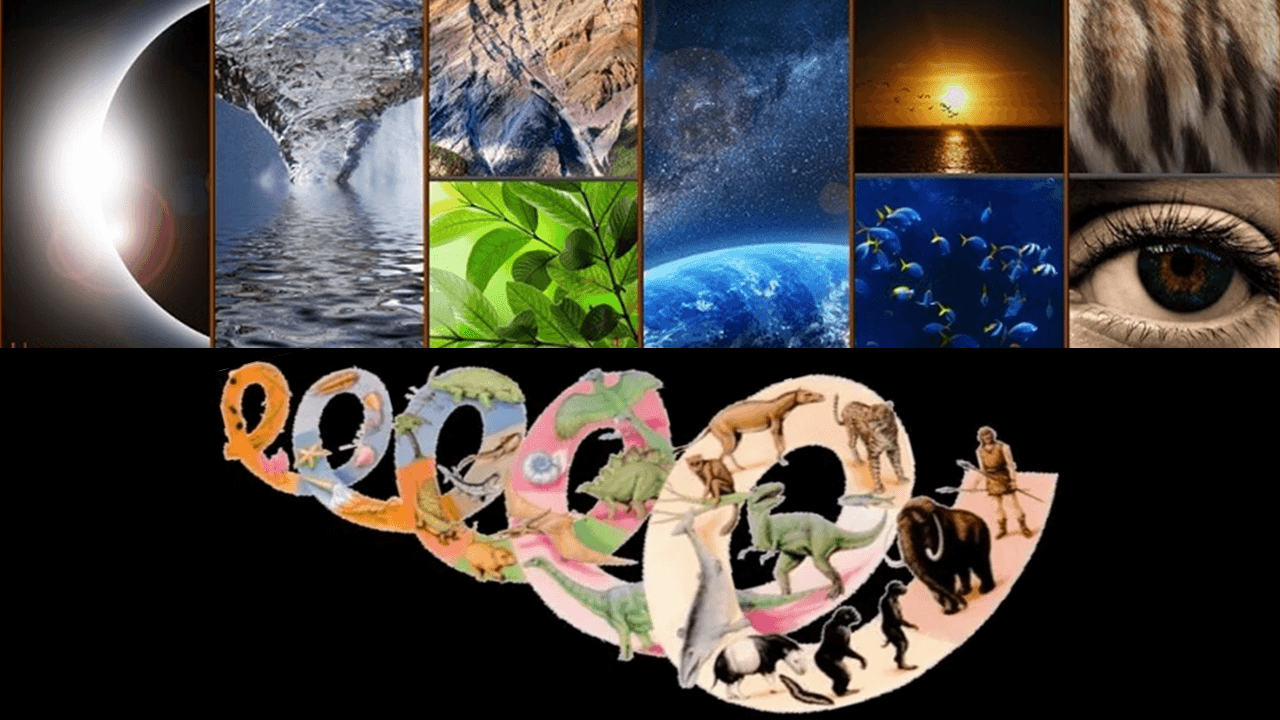 CRIAÇÃO X EVOLUÇÃO