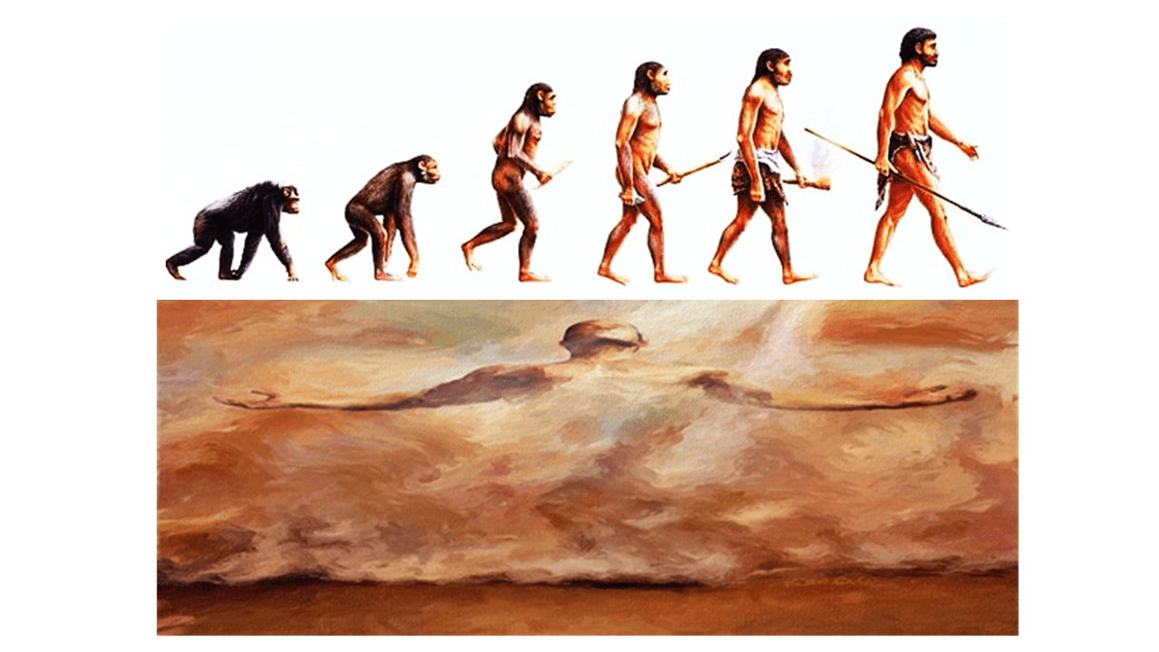 O SER HUMANO FOI CRIADO POR DEUS OU EVOLUIU DO MACACO?